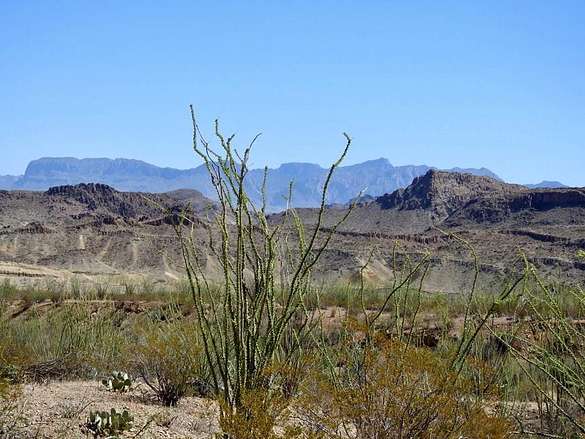 200 Acres of Land for Sale in Terlingua, Texas