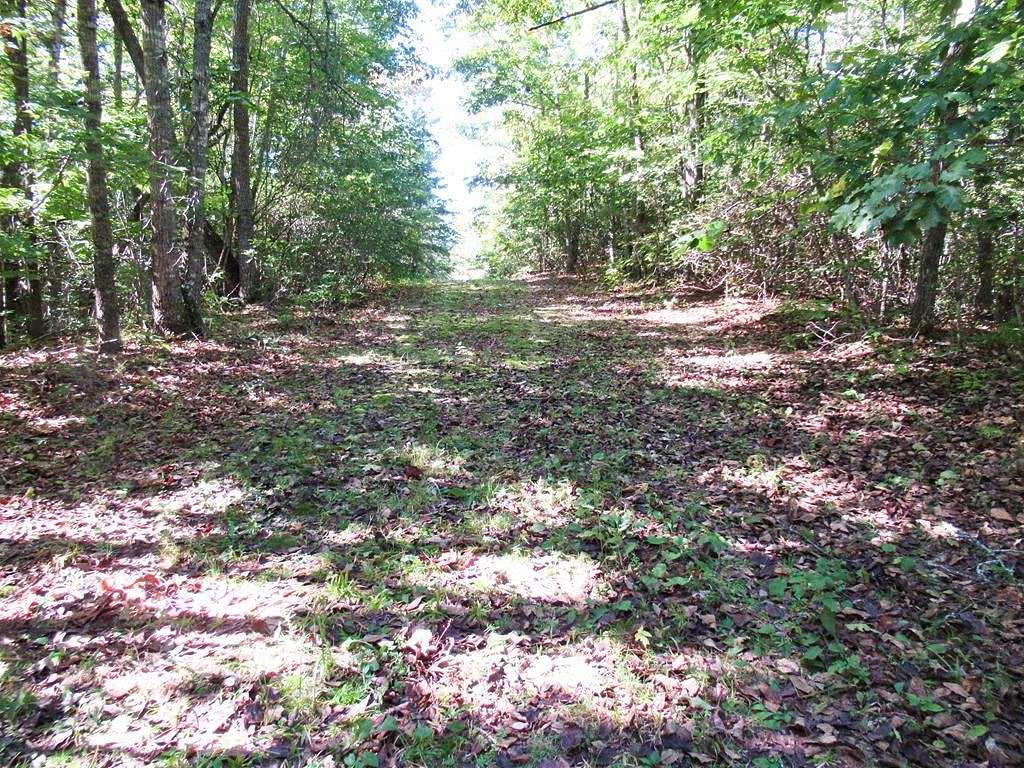 0.83 Acres of Residential Land for Sale in Franklin, North Carolina