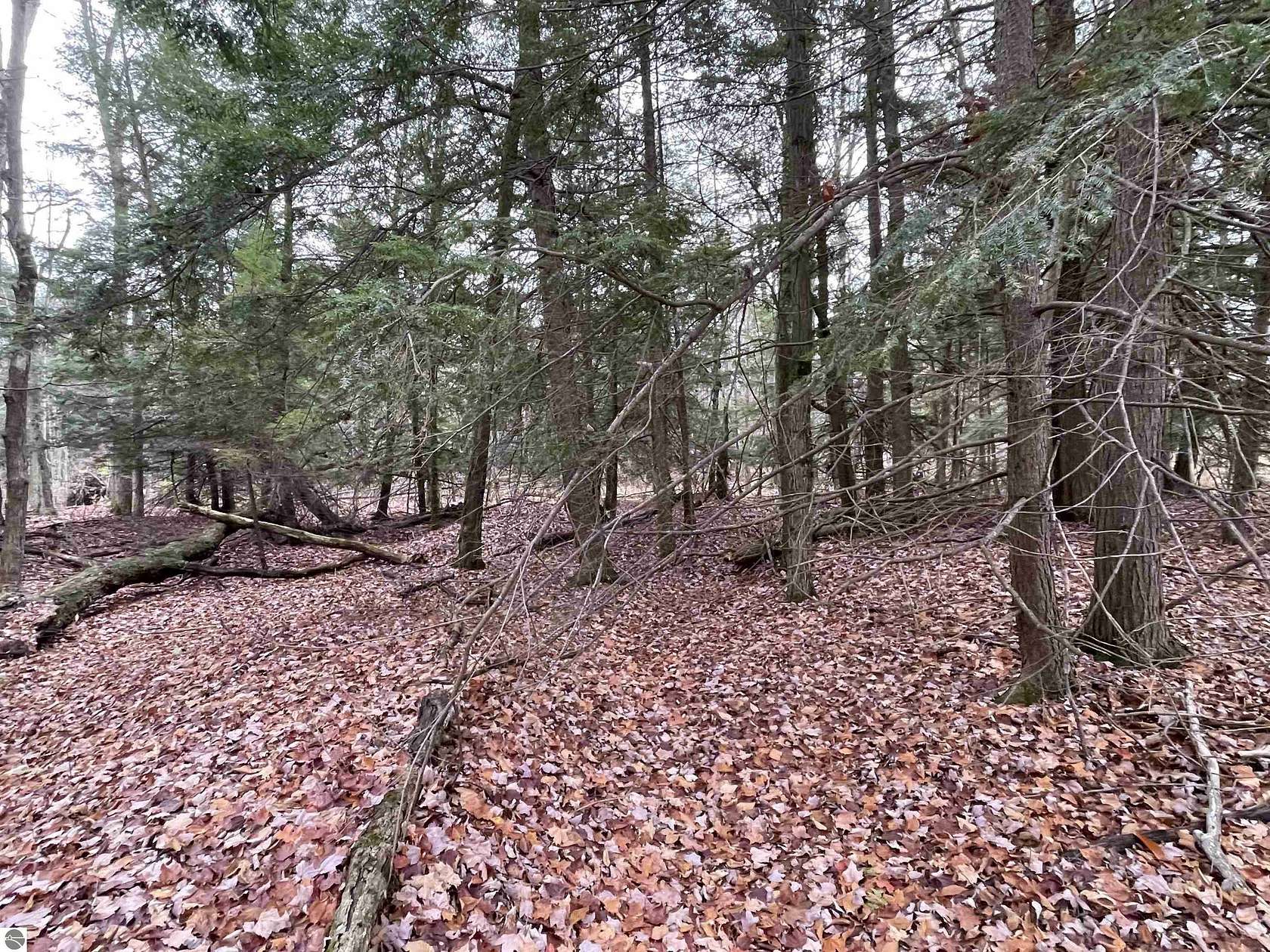 0.48 Acres of Residential Land for Sale in Mesick, Michigan