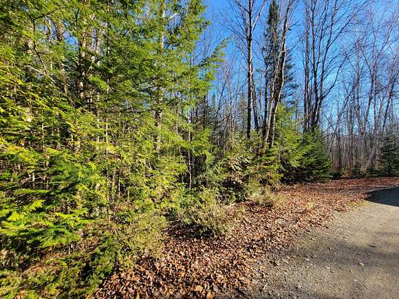 51.8 Acres of Recreational Land for Sale in Bradford, Maine