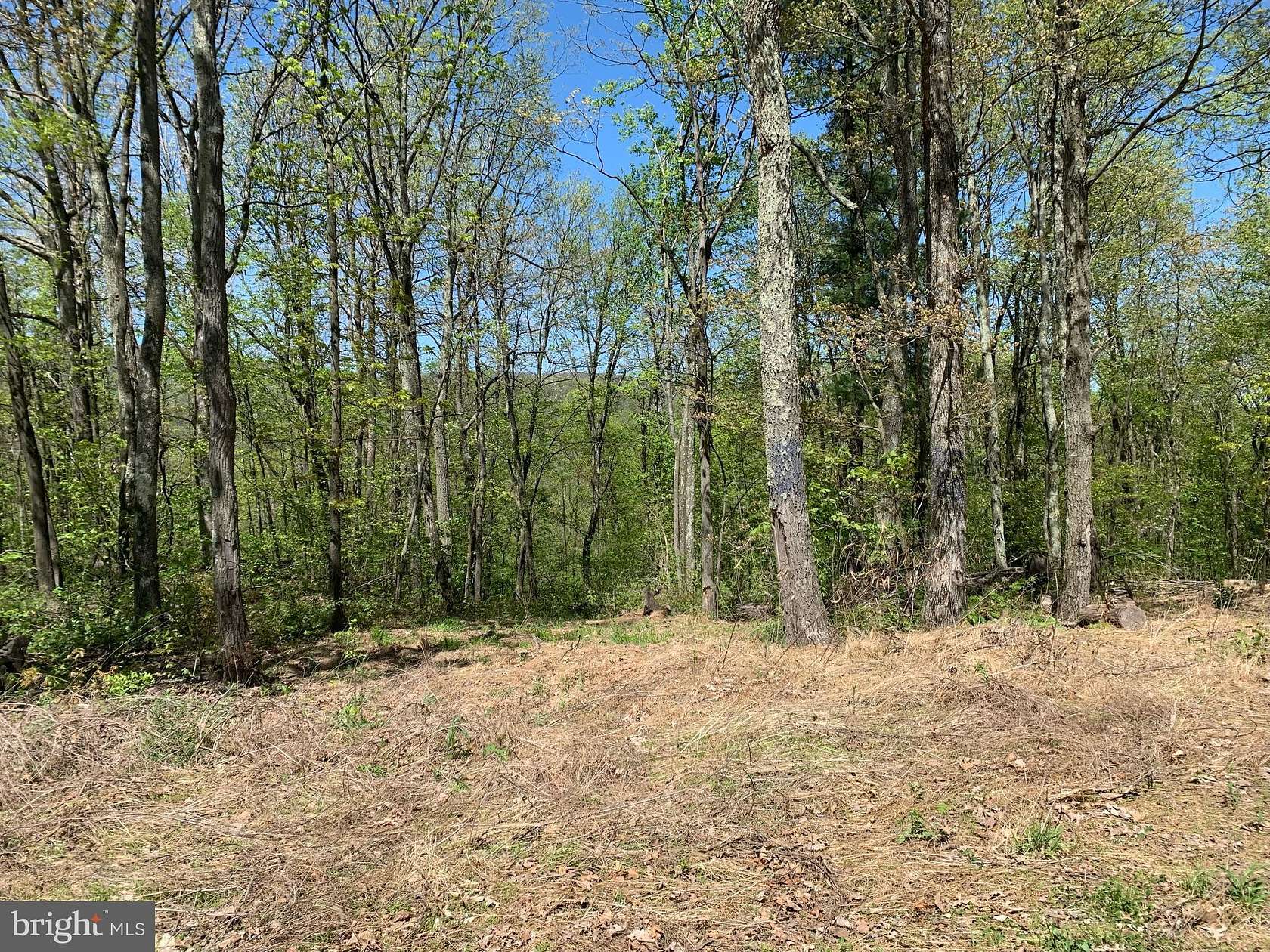 126 Acres of Recreational Land for Sale in Port Matilda, Pennsylvania