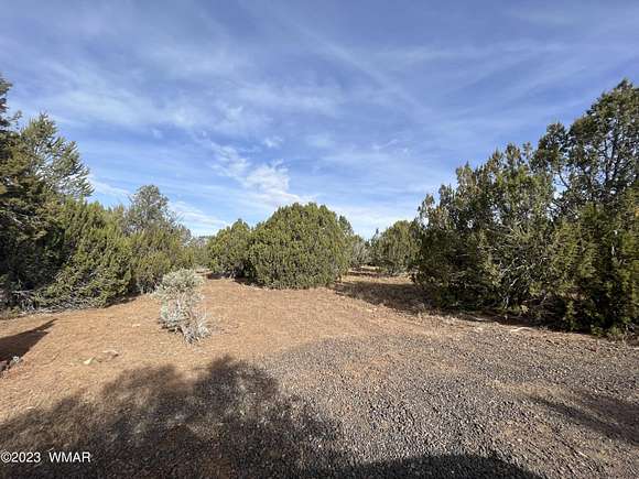 5.15 Acres of Residential Land for Sale in Vernon, Arizona