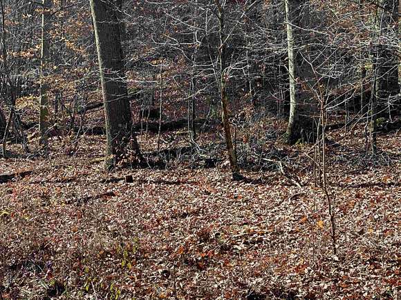 30 Acres of Recreational Land for Sale in Bridgeport, West Virginia