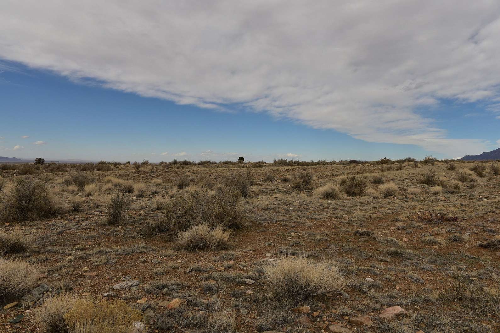 5.2 Acres of Residential Land for Sale in Bodega, New Mexico