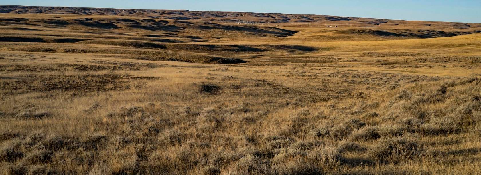 7,923 Acres of Land for Sale in Rapelje, Montana