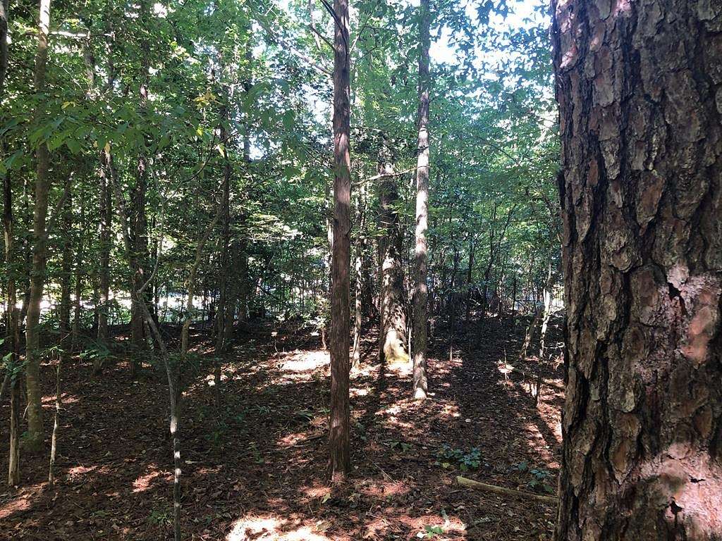 0.48 Acres of Residential Land for Sale in Bracey, Virginia