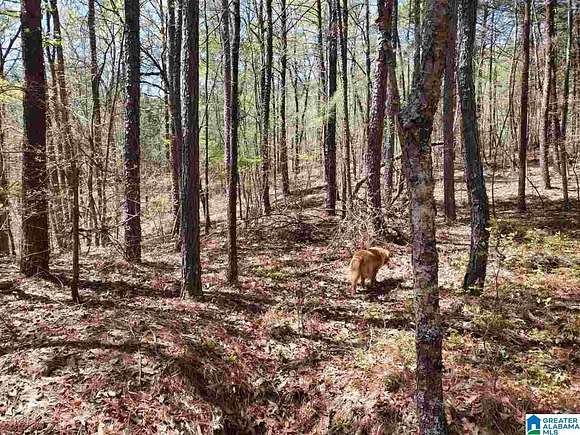 0.62 Acres of Land for Sale in Sterrett, Alabama