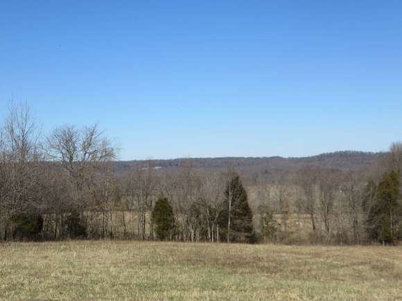 115 Acres of Recreational Land & Farm for Sale in Golconda, Illinois