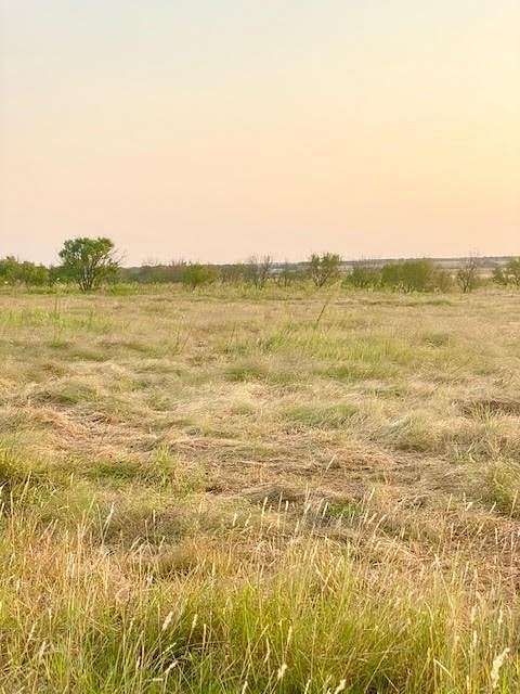 65 Acres of Land for Sale in Bellevue, Texas