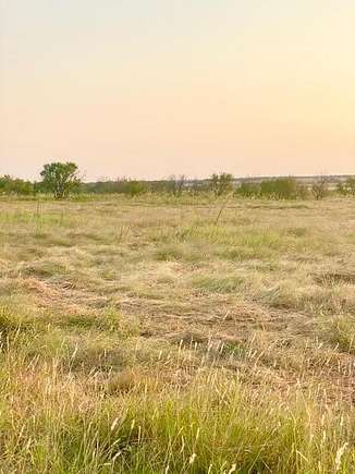 65 Acres of Land for Sale in Bellevue, Texas