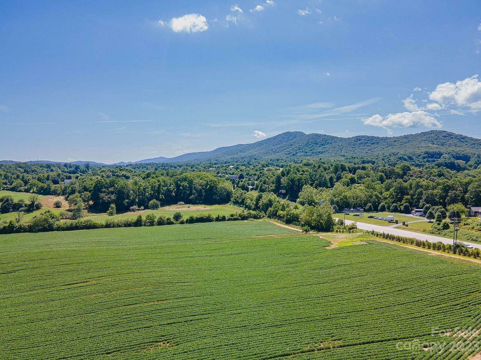 36 Acres of Mixed-Use Land for Sale in Mills River, North Carolina