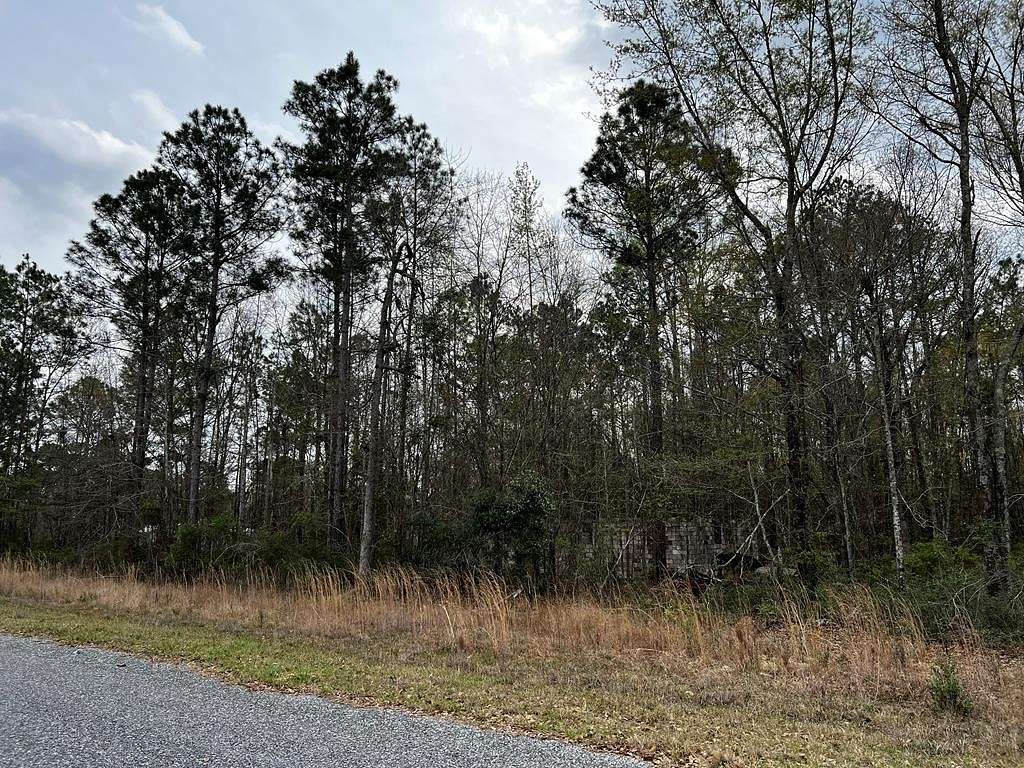 2.2 Acres of Residential Land for Sale in Fitzgerald, Georgia
