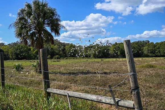 24.3 Acres of Land for Sale in Zolfo Springs, Florida
