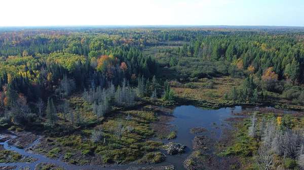 917 Acres of Recreational Land for Sale in Phillips, Wisconsin