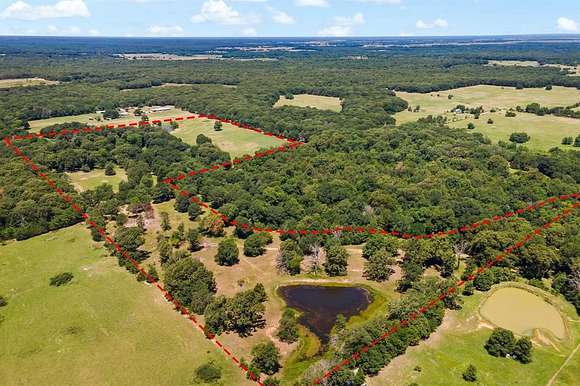 43.7 Acres of Agricultural Land for Sale in Honey Grove, Texas