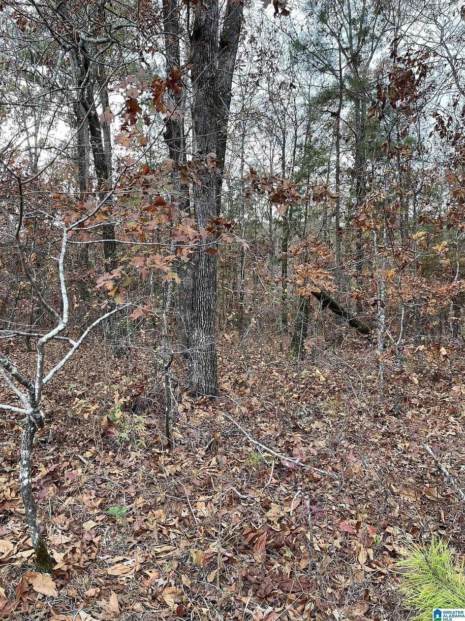 1 Acre of Residential Land for Sale in Sylacauga, Alabama