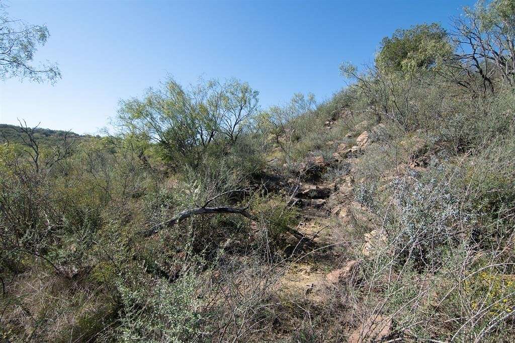 6.4 Acres of Land for Sale in Early, Texas