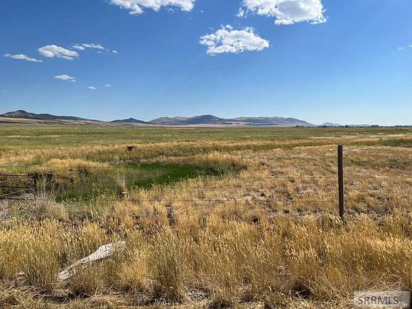 64 Acres of Land for Sale in Stone, Idaho