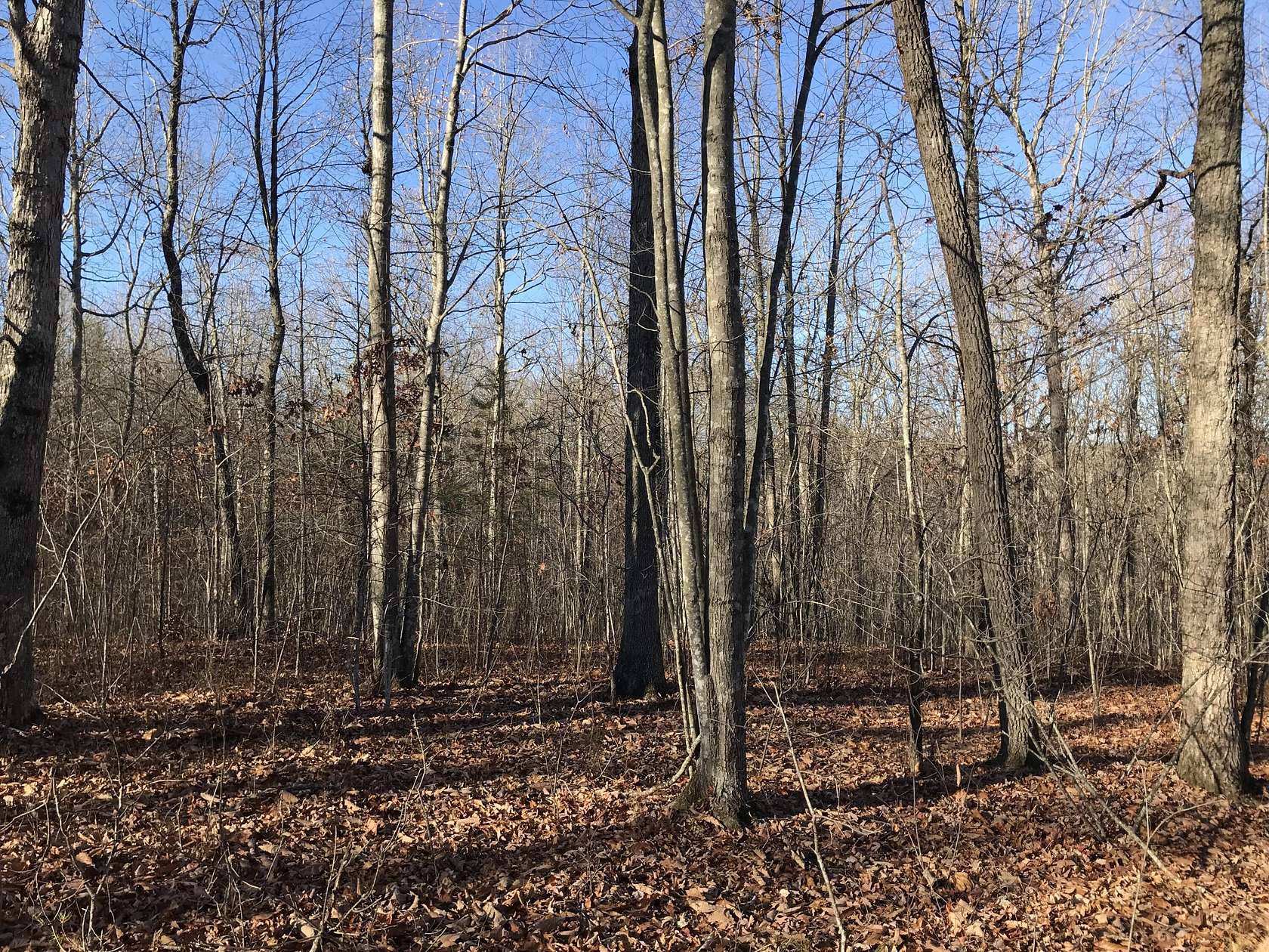4.9 Acres of Residential Land for Sale in Dunlap, Tennessee