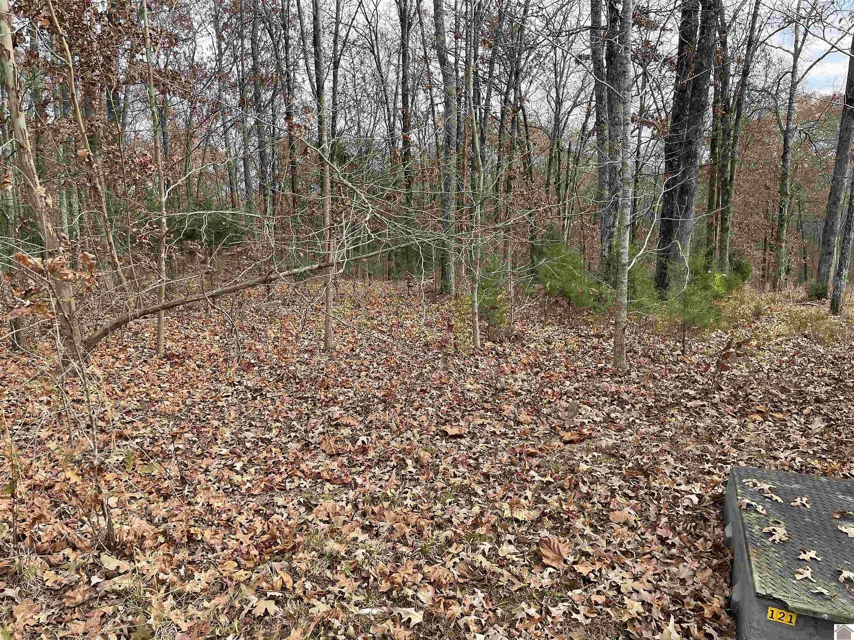 1.2 Acres of Residential Land for Sale in Murray, Kentucky