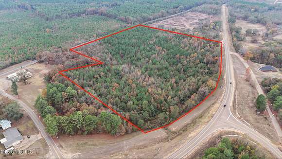 30 Acres of Agricultural Land for Sale in Pelahatchie, Mississippi