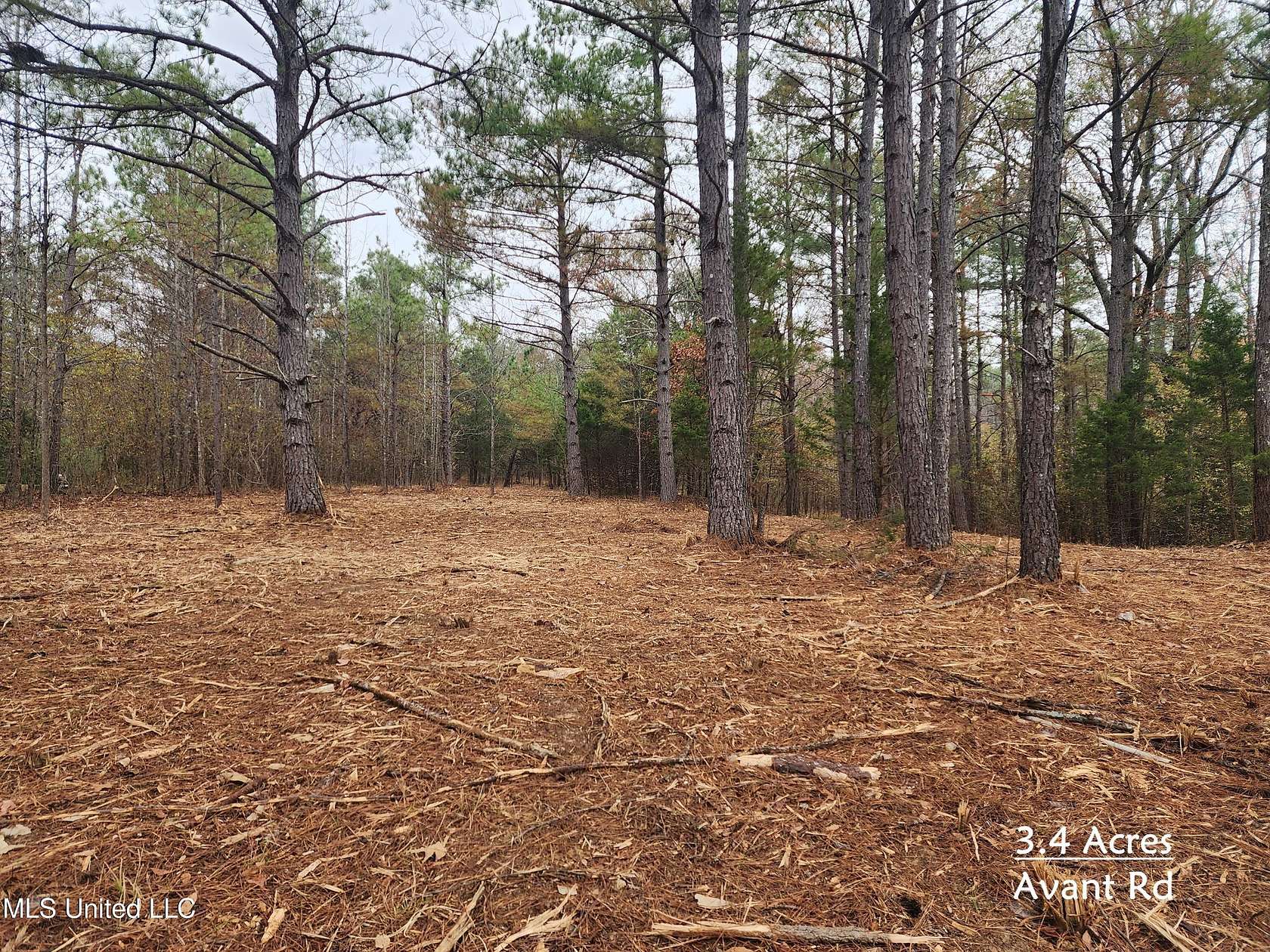 3.4 Acres of Residential Land for Sale in Holly Springs, Mississippi