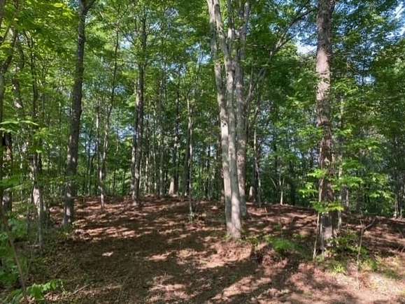 4.2 Acres of Land for Sale in South Shore, Kentucky