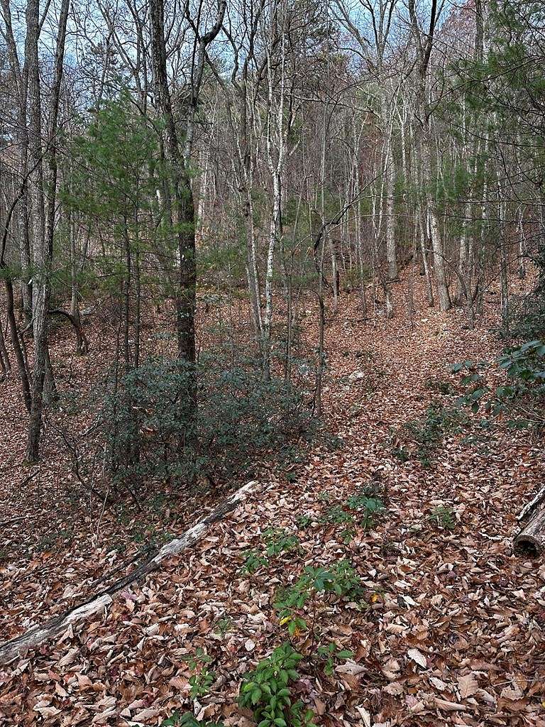 2.2 Acres of Land for Sale in Chilhowie, Virginia