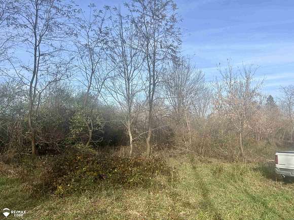 5 Acres of Residential Land for Sale in Hadley, Michigan