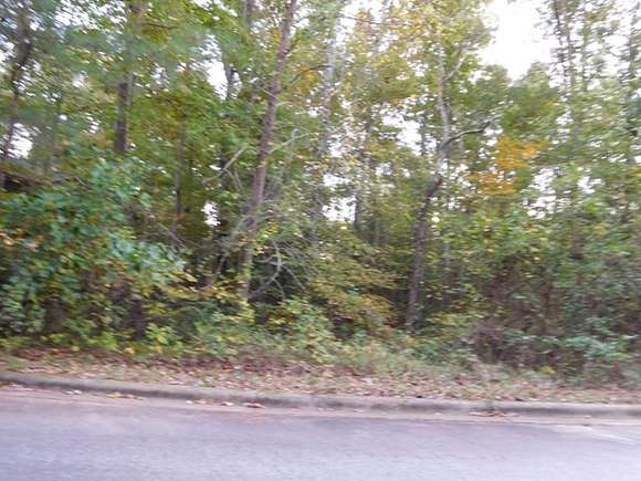 0.51 Acres of Residential Land for Sale in Roanoke Rapids, North Carolina