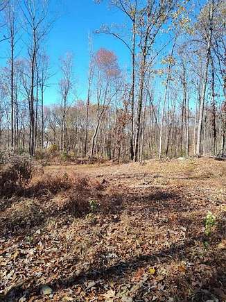 51.3 Acres of Recreational Land for Sale in Morganfield, Kentucky