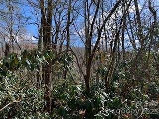 0.75 Acres of Land for Sale in Montreat, North Carolina