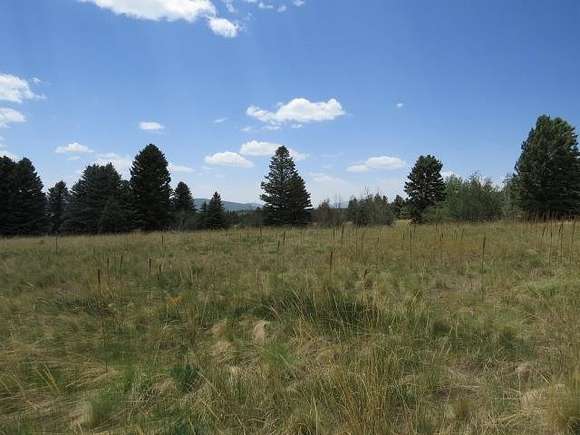 3.3 Acres of Residential Land for Sale in Angel Fire, New Mexico