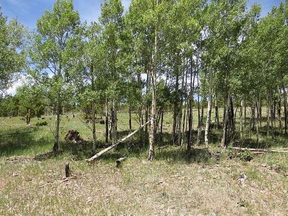 2.7 Acres of Residential Land for Sale in Angel Fire, New Mexico