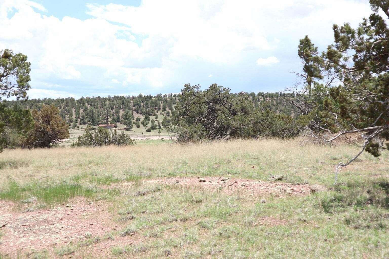 5.5 Acres of Residential Land for Sale in Datil, New Mexico