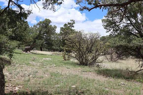 5.54 Acres of Residential Land for Sale in Datil, New Mexico