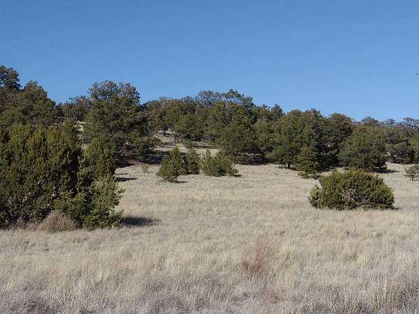 5.54 Acres of Residential Land for Sale in Datil, New Mexico