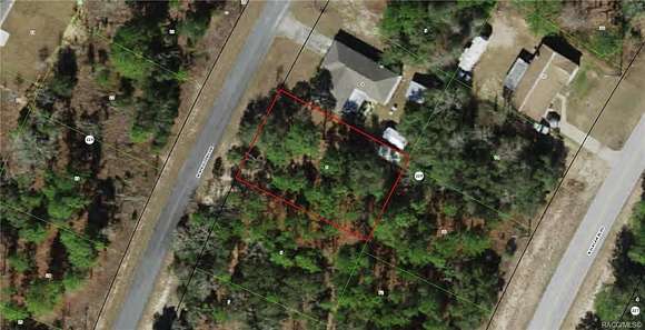 0.24 Acres of Land for Sale in Citrus Springs, Florida