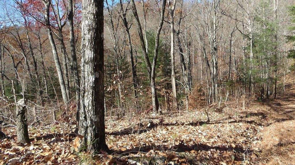 4.3 Acres of Residential Land for Sale in Harriman, Tennessee