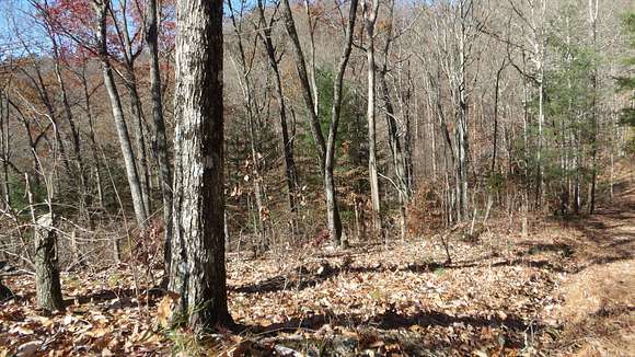 4.3 Acres of Land for Sale in Harriman, Tennessee
