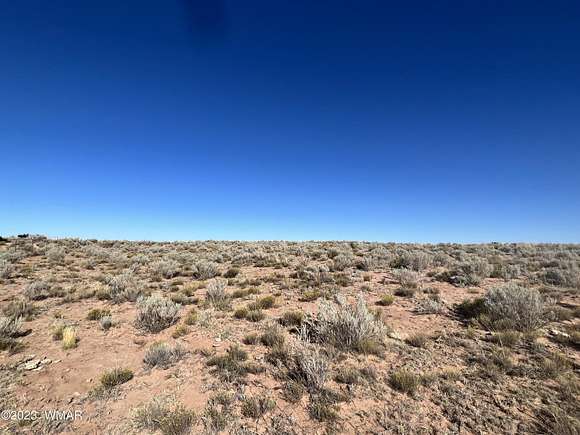40.6 Acres of Recreational Land & Farm for Sale in St. Johns, Arizona