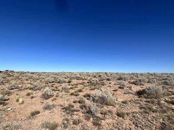 40.56 Acres of Recreational Land & Farm for Sale in St. Johns, Arizona