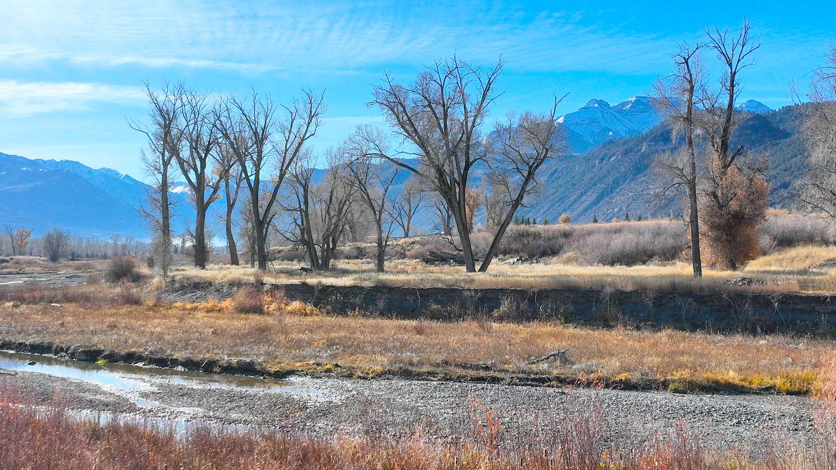 27.8 Acres of Land for Sale in Ridgway, Colorado
