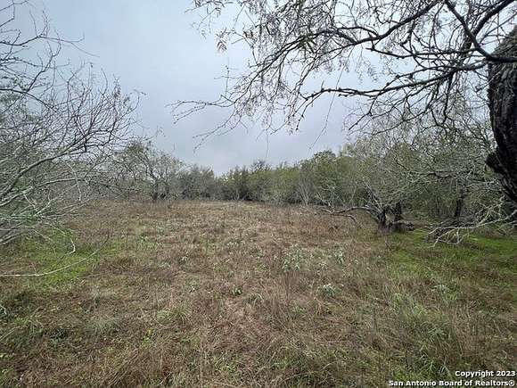 10.723 Acres of Land for Sale in Seguin, Texas