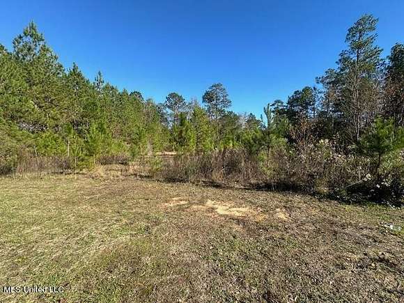 0.8 Acres of Residential Land for Sale in Hattiesburg, Mississippi
