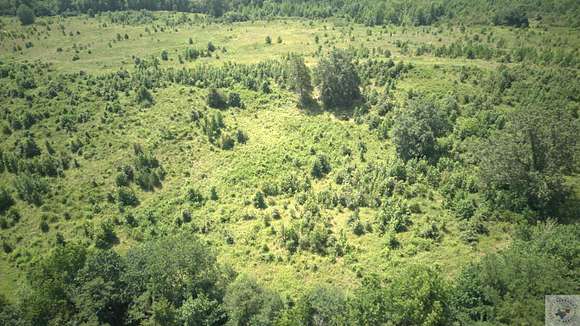 104 Acres of Recreational Land for Sale in Caddo Gap, Arkansas