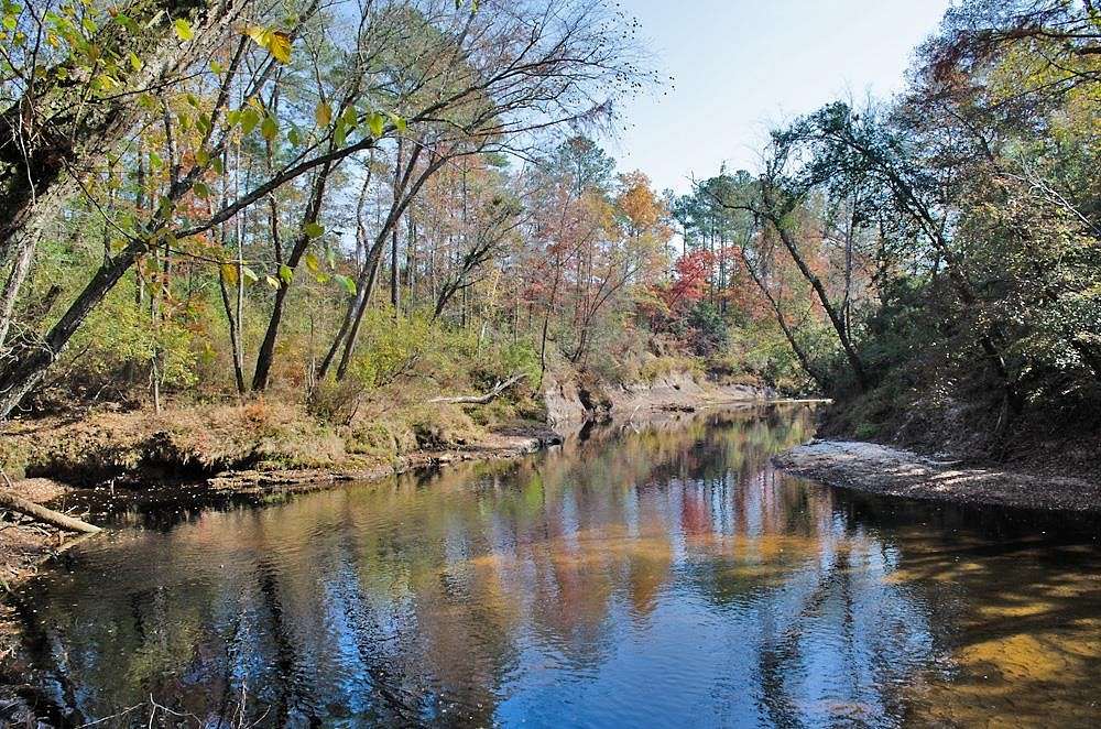 23.8 Acres of Recreational Land for Sale in Erwin, North Carolina