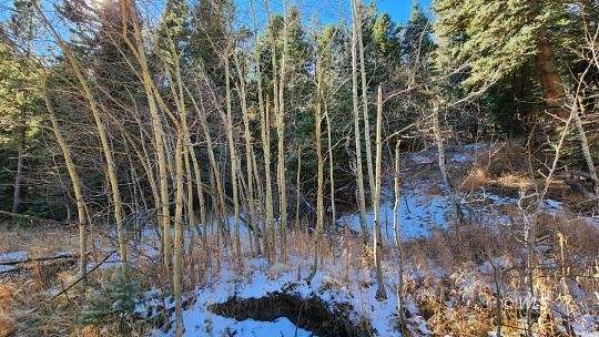 0.11 Acres of Residential Land for Sale in Rye, Colorado