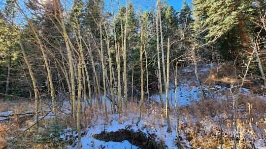0.11 Acres of Residential Land for Sale in Rye, Colorado