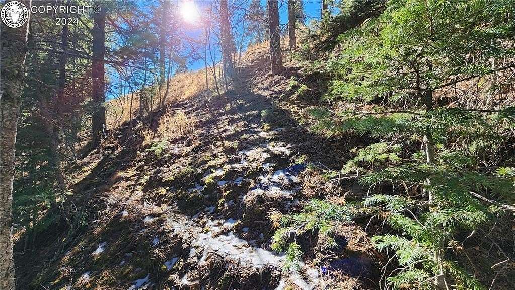 0.11 Acres of Land for Sale in Rye, Colorado